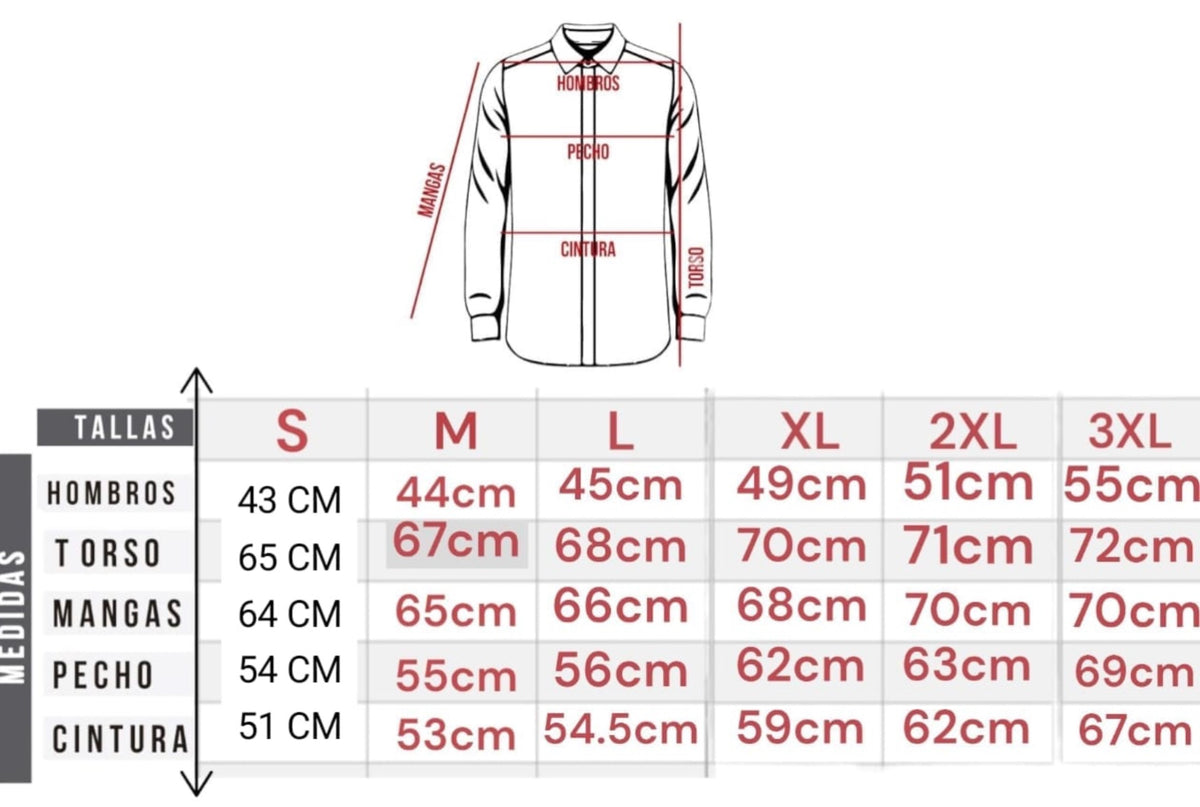 Camisa CK Hombre Algodón Pima
